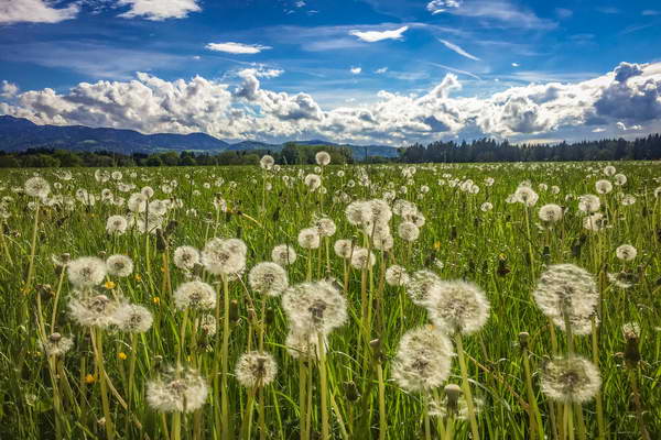 foto-therapie-stefan-schiefer05