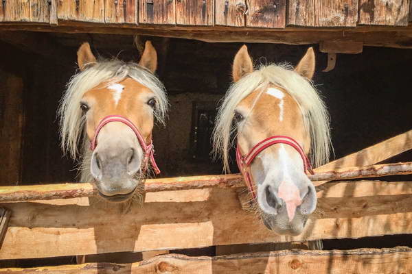 foto-therapie-stefan-schiefer15