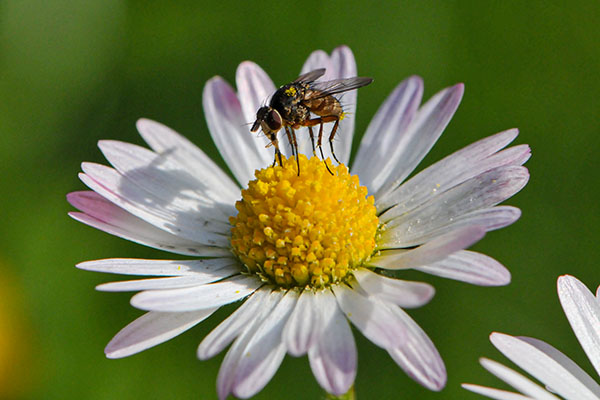 foto-therapie-stefan-schiefer17