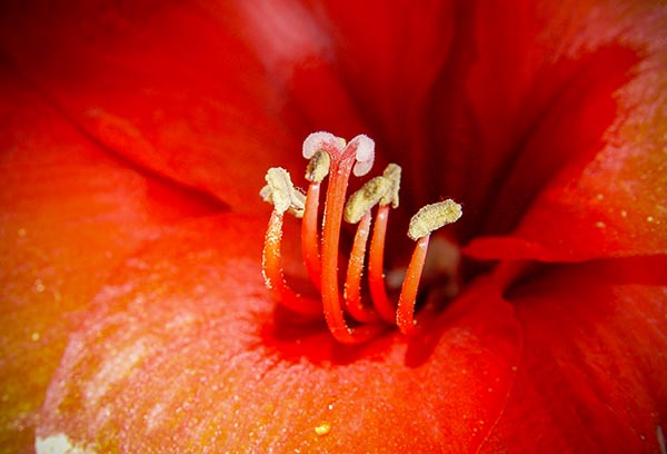 foto-therapie-stefan-schiefer18