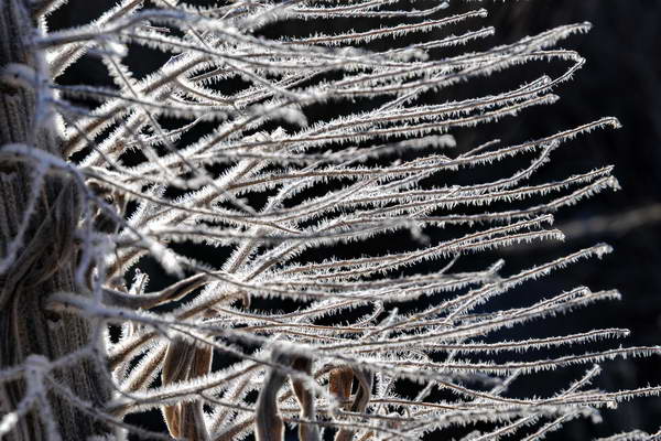 foto-therapie-stefan-schiefer25