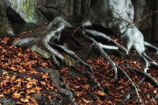 foto-therapie-stefan-schiefer28