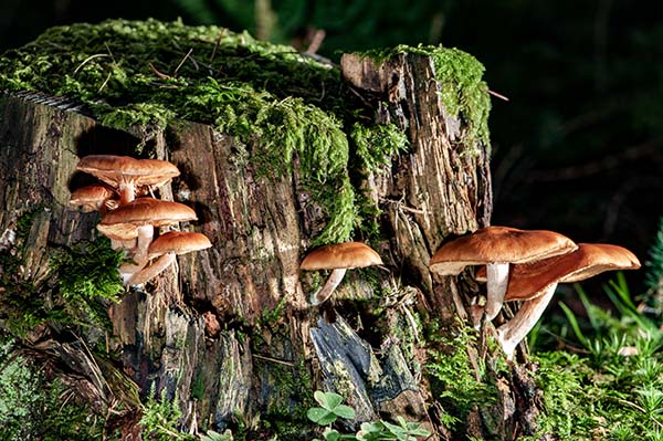 foto-therapie-stefan-schiefer29