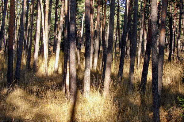 foto-therapie-stefan-schiefer32