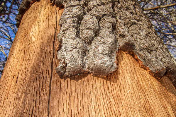 foto-therapie-stefan-schiefer33